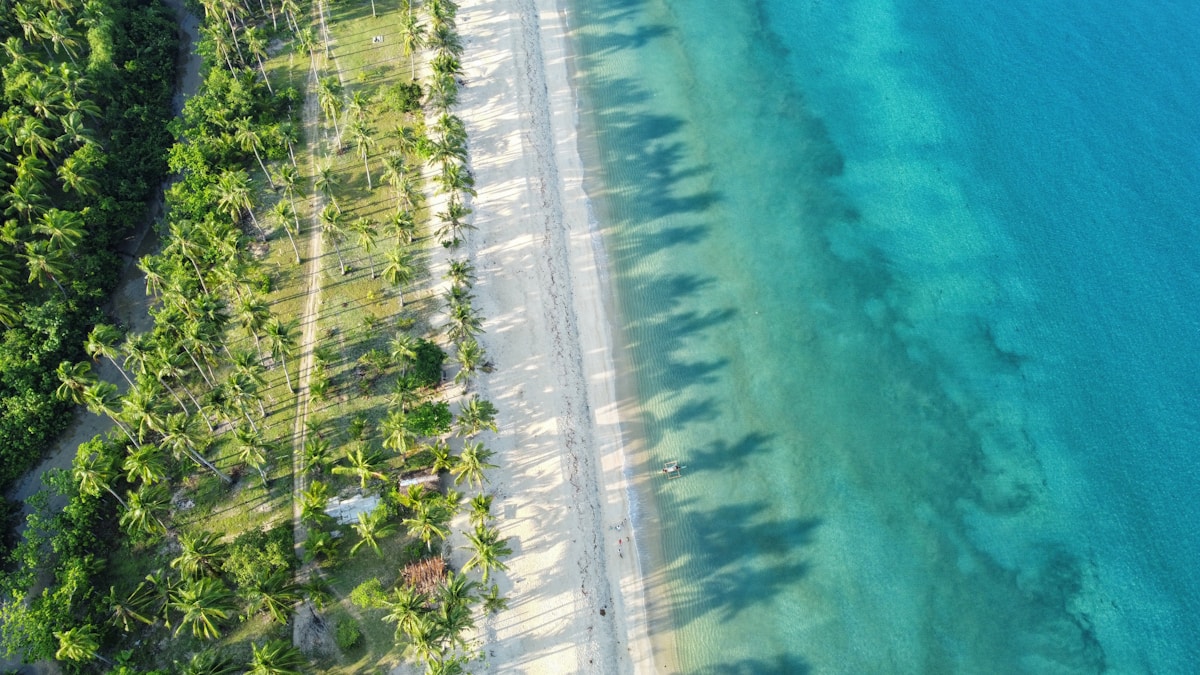 Beautiful Palawan beach with crystal clear waters and limestone cliffs